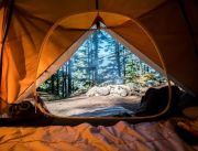 How To Have A Great Camping Trip: 5 Steps