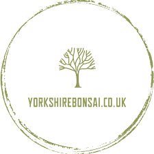 Yorkshire Bonsai Voucher & Promo Codes